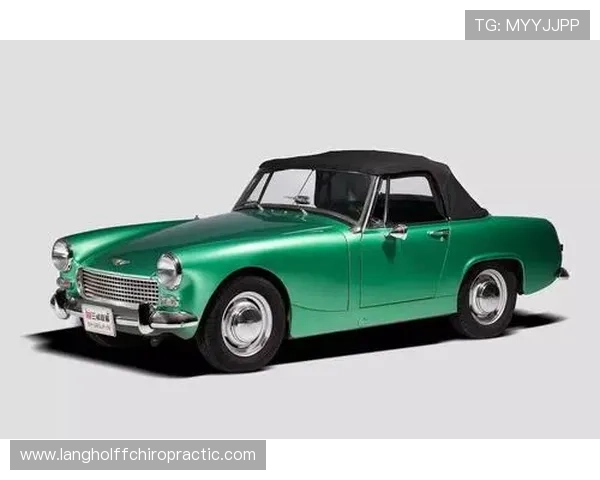 埃琳·安德森训练完顺手买了辆超跑，说油费比她的蛋白粉便宜